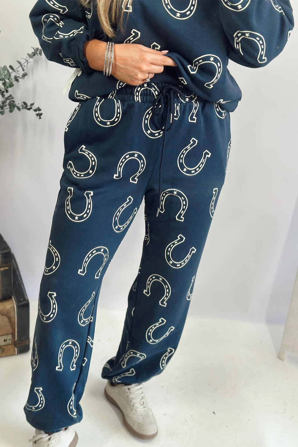 Lucky Horseshoe Set